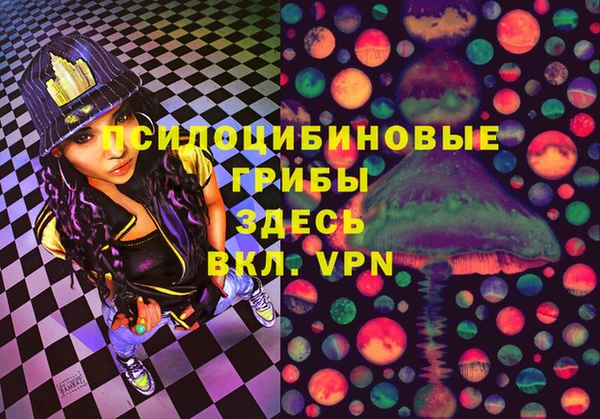 прущие грибы Абдулино