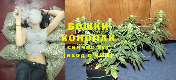 гидра Нея