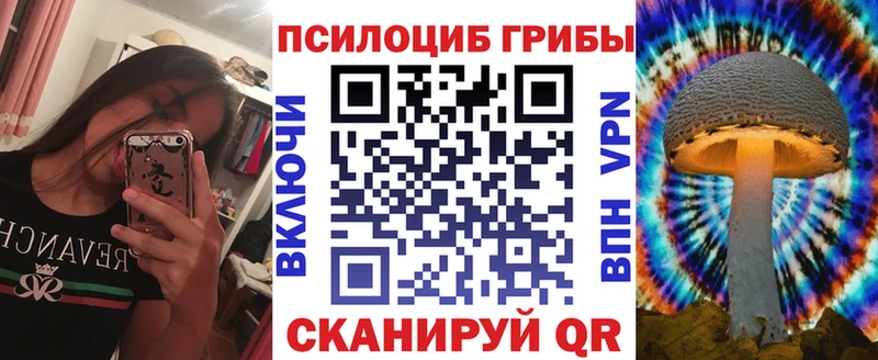 Псилоцибиновые грибы Psilocybe  Новая Усмань 